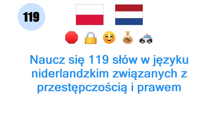 Naucz się 119 słów w języku niderlandzkim związanych z przestępczością i prawem